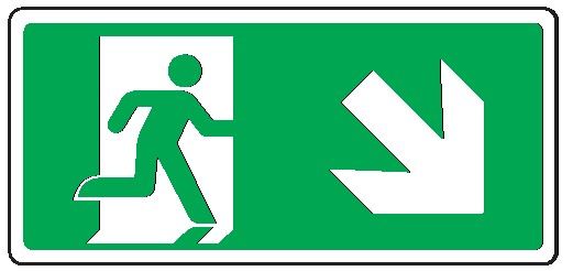 Cartello bifacciale in All. 220x125 mm USCITA DI EMERGENZA CON FRECCIA IN BASSO A DX