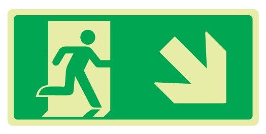 Cartello Luminescente bifacciale in All. 220x125 mm USCITA DI EMERGENZA CON FRECCIA IN BASSO A DX
