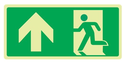 Cartello Luminescente bifacciale in All. 220x125 mm USCITA DI EMERGENZA CON FRECCIA VERSO L'ALTO