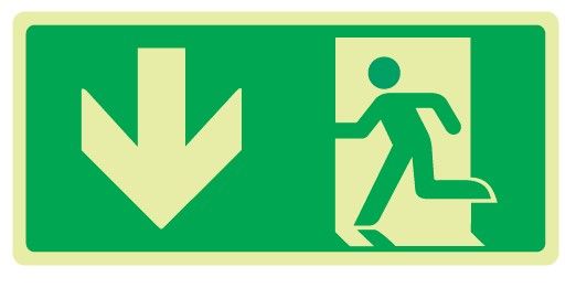 Cartello Luminescente bifacciale in All. 375x175 mm USCITA DI EMERGENZA CON FRECCIA VERSO IL BASSO