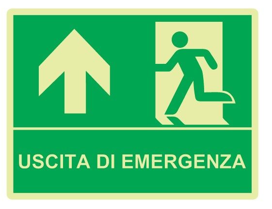 Cartello Luminescente in All. 325x245 mm USCITA DI EMERGENZA CON FRECCIA VERSO L'ALTO